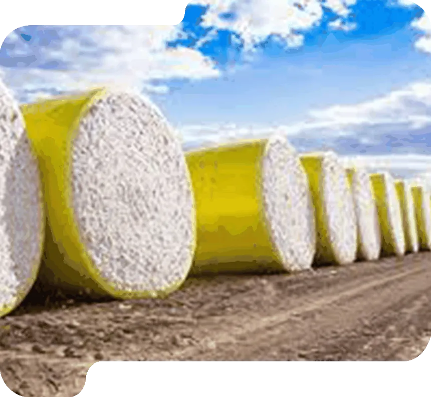 Choosing the Right Textile Manufacturing Partner for Long-Term Business Success