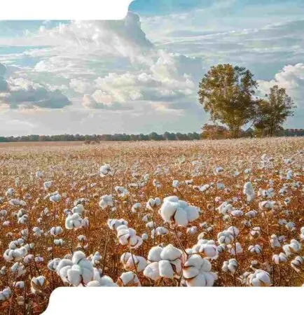 Cotton Textile Products - Karthik Enterprises