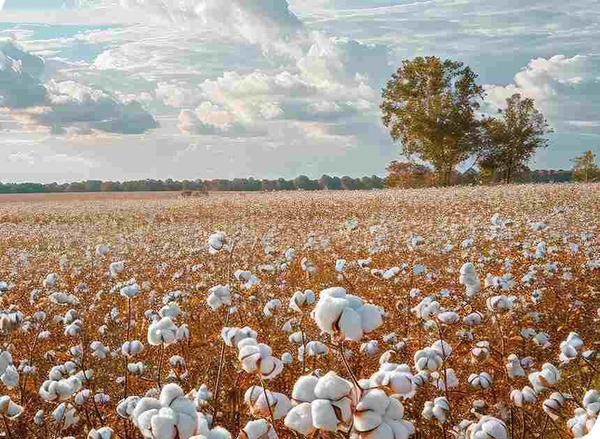Cotton Textile Products - Karthik Enterprises