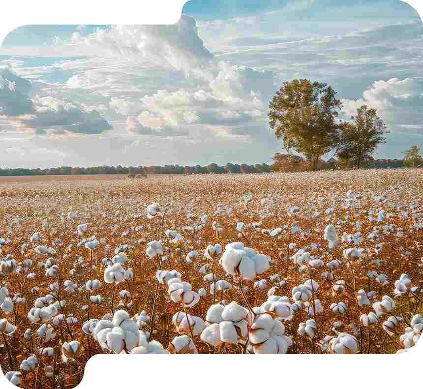 Cotton Textile Products - Karthik Enterprises